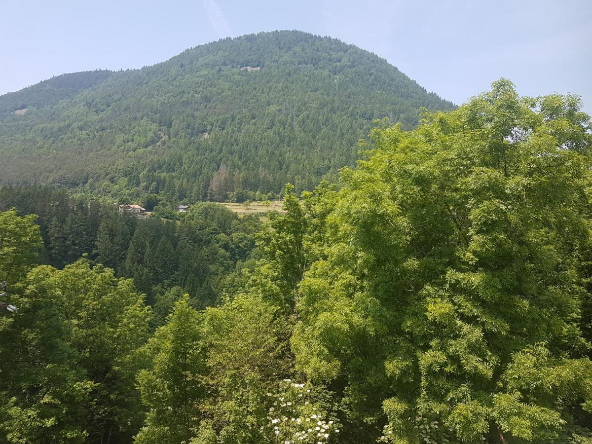 Appartamento Altipiano Pine 2 Bedollo Exterior foto